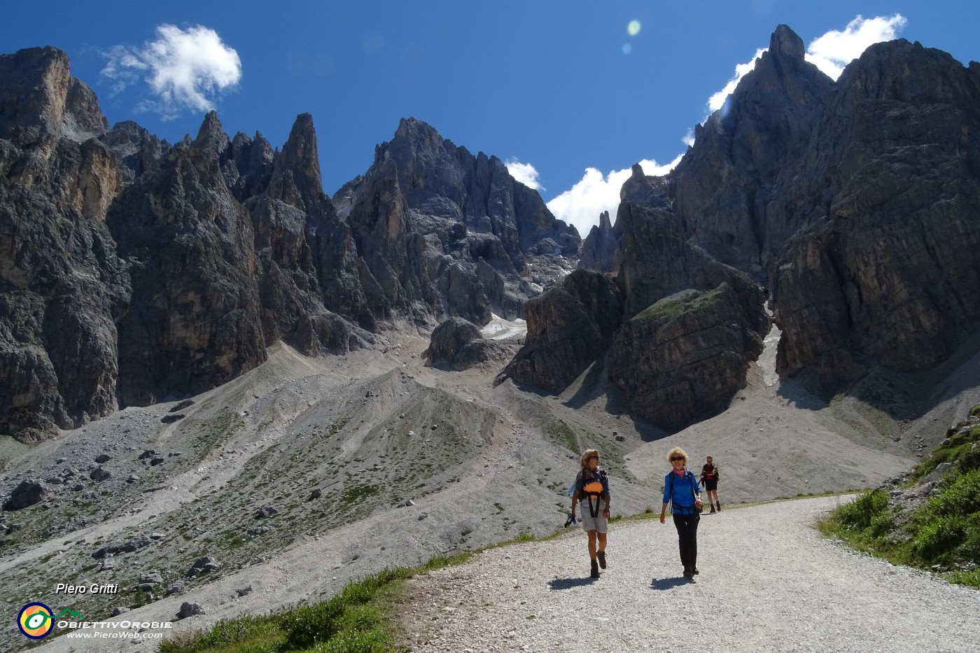 12 Dalla strada per Val Venegia  il Cimon della Pala e la Cima della Vezzana,...).JPG